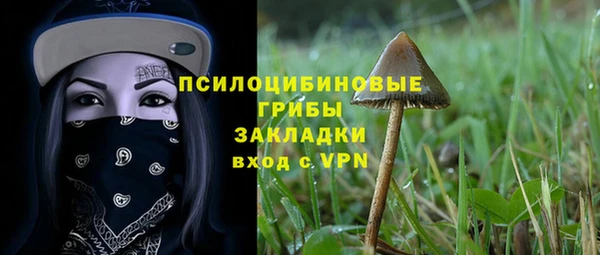 молекула духа Алзамай