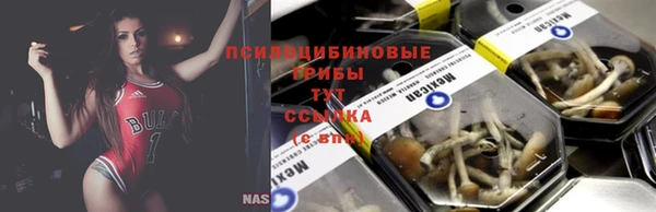 молекула духа Алзамай