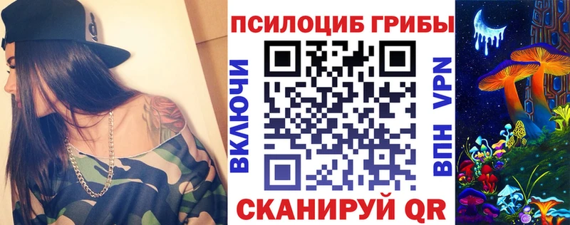 как найти Хвалынск Галлюциногенные грибы мицелий